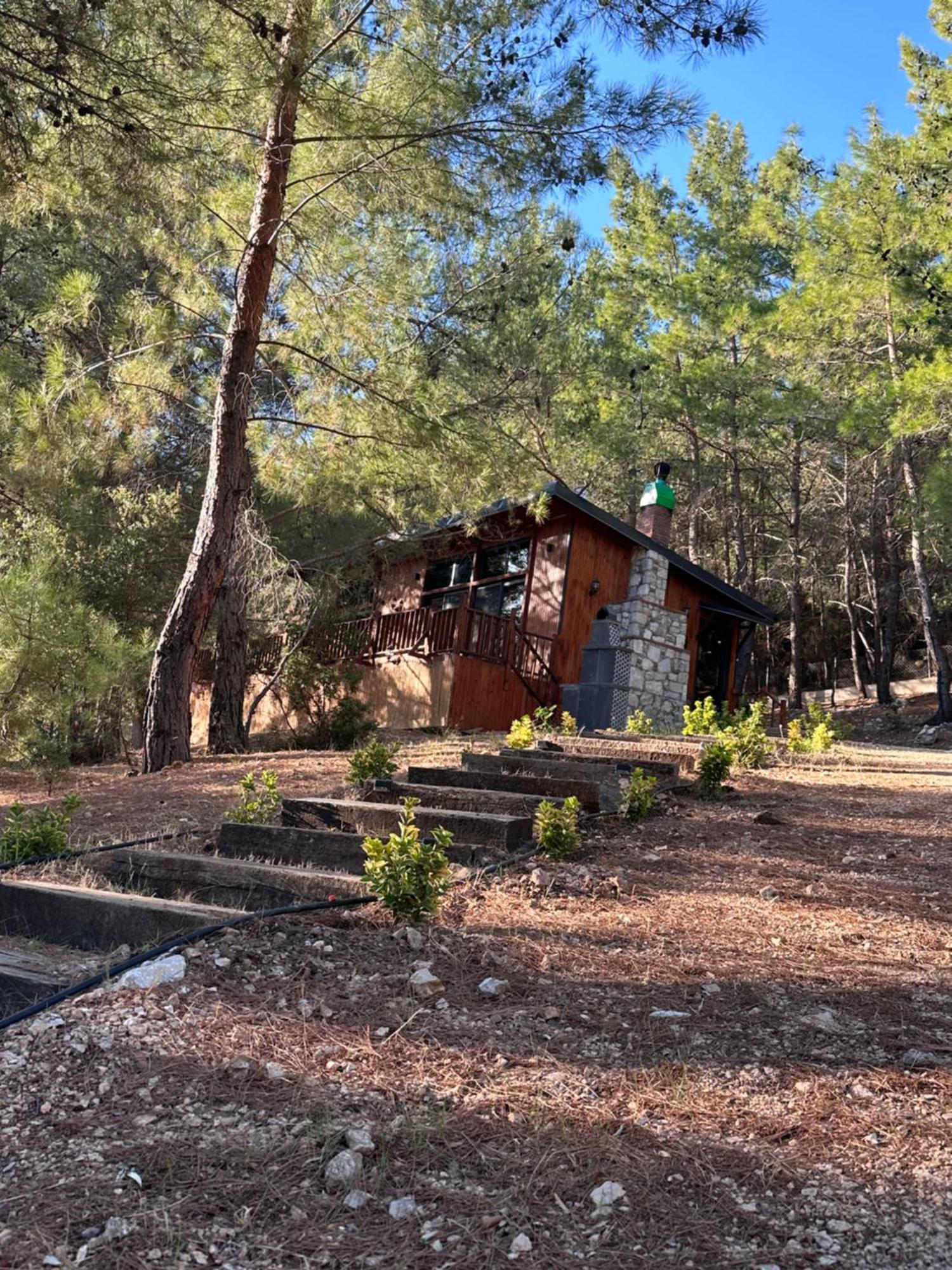 Panurlawoodenhouse Oezel Havuz& Sauna Mavi Eksteriør billede